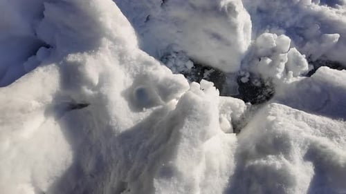 Die verschneite Landschaft enthüllt frischen Schneefall in einer ruhigen Gegend