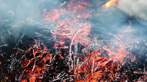 Fire ember