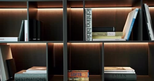 Estantería de madera negra con libros y luces Modern Penthouse Beauty Minimalist