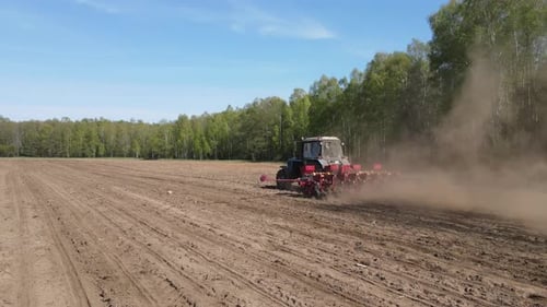 Luftbild: Ein Bauer auf einem alten blauen Traktor sät ein Feld in der Nähe eines Birkenhains
