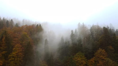 Aerial View of Foggy Mystical Landscape Scenery