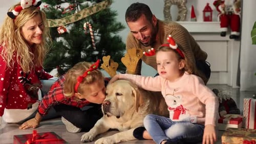 Festive Family Petting Dog by Christmas Tree