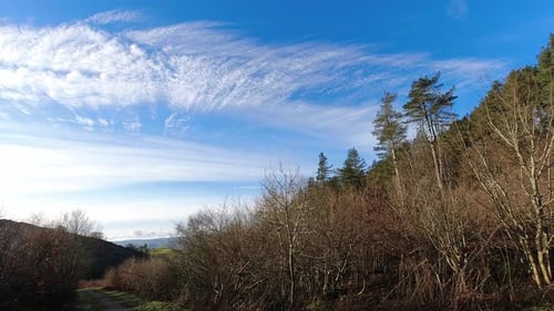 Rural woodland valley blue sky clouds timelapse above forest fir trees wilderness