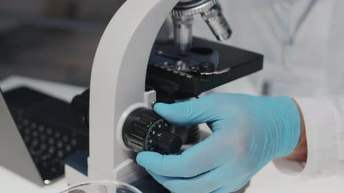 Gloved Hand of Researcher Adjusting Dial on Microscope during Investigation