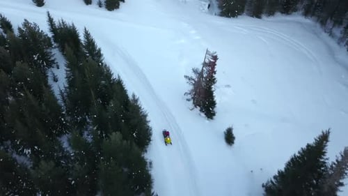 Top view of snowmobile riding in winter forest