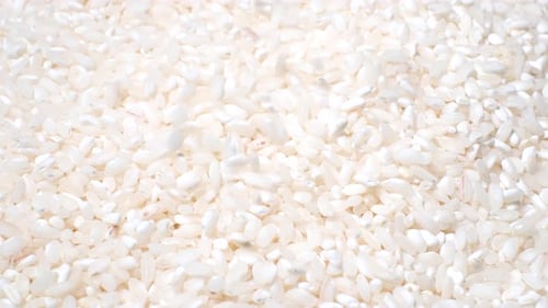 A Large Number of Grains of White Rice