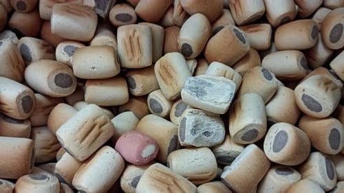 Dog Biscuits