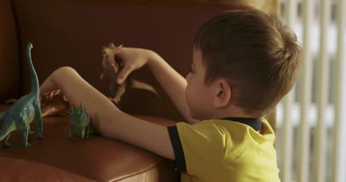 Child Plays with Toy Dinosaurs at Home