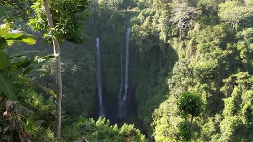 Aerial view of Sekumpul waterfall located in Lemukih, Buleleng, Bali, Indonesia