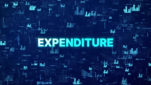 EXPENDITURE Concept over animated stock market background with chart, numbers and matrix codes