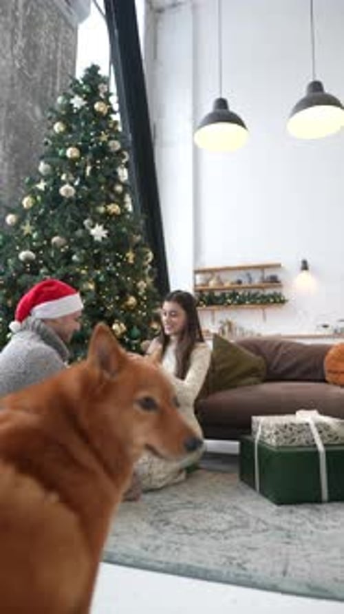 Young Couple with Dog Exchange Christmas Presents