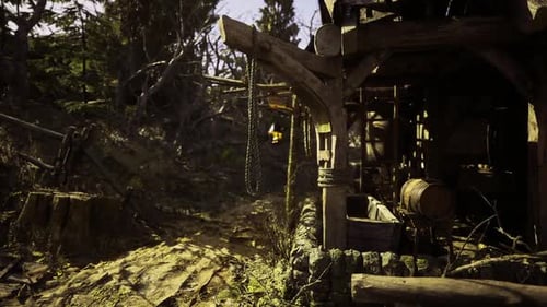 Charming Rustic Scene in a Forgotten Forest with Weathered Wooden Structures