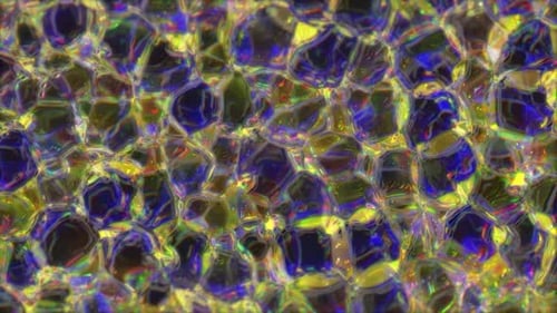 Abstract Iridescent Organic Fluid Background Loop Animation