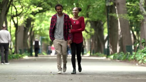 4k Video footage of a young couple enjoying a romantic afternoon in a park together