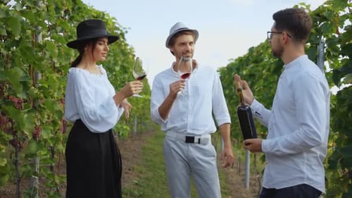 Vineyard Gathering Incredible Experience of Tasting Fine Wine Amid Scenic Grapevines