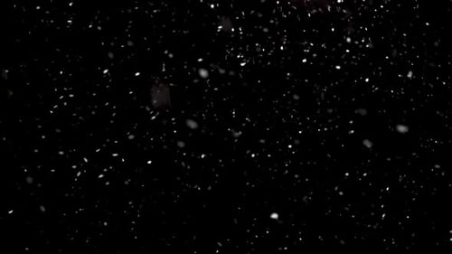 Falling Snow Against a Black Backdrop