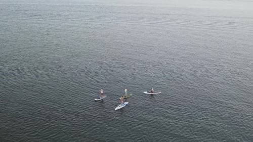 Paddleboarding Sports On A Calm Blue Sea During Summertime. Aerial Drone