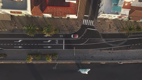 Aerial Panorama Capturing Coastal Roadway Featuring Cars Navigating Beside Palm Lined Street with