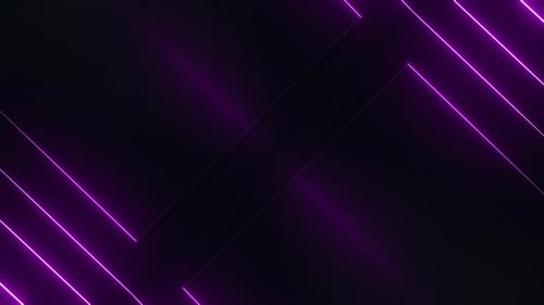 Purple Neon Lines Loop
