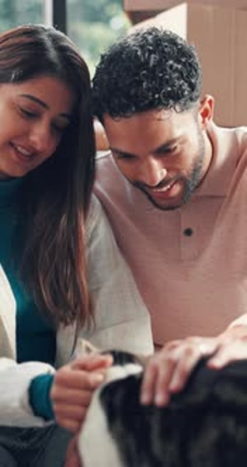 Smile, couple and cat with boxes in new house for real estate, property investment and moving in