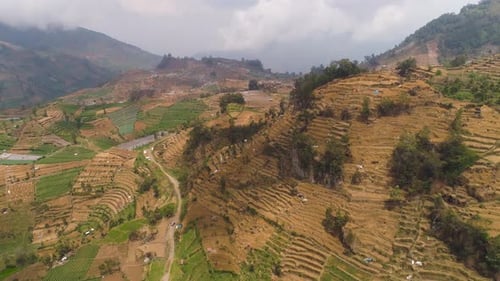 Terraced Fields and Mountainous Landscape Aerial View