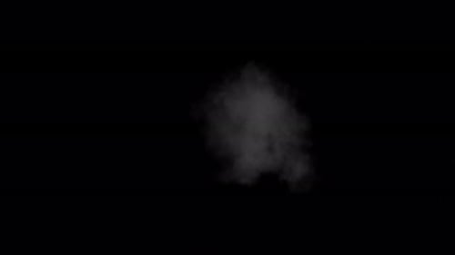 Cinematic Fluid Smoke Puff Reveal Transition Effect