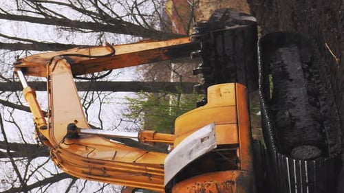 Tracked mechanical digger. Close up of caterpillar tractor. Vertical video