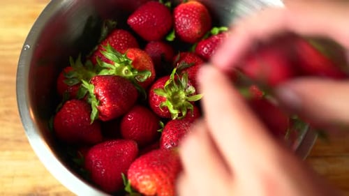 Close up shot of Freshly picked strawberries are being placed inside a metal container.