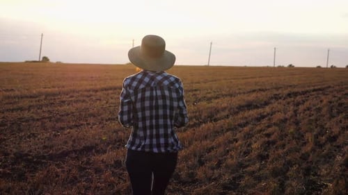 Female Farmer Going Through the Wheat Meadow at Sunset Adult Agronomist in Straw Hat Walking Among