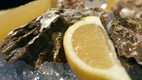 Fresh Raw Oysters with Ice French Restaurant Mediterranean Healthy Sea Food Gourment Luxury Cuisine
