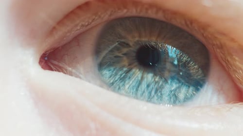 Images en très gros plan d'un œil humain Images macroscopiques de l'œil d'un petit garçon