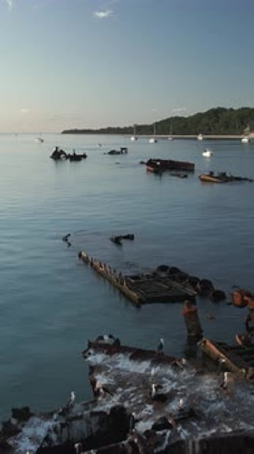 Vertical drone ascending Tangalooma Wrecks seabirds glassy water yachts revealing Moreton Island