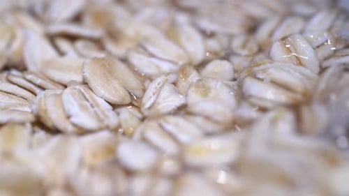 Oatmeal Cereal Flakes Soaked in Water, Close Up