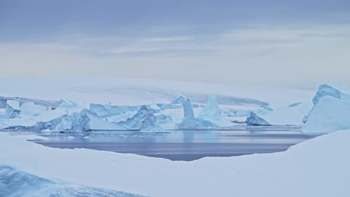 Icebergs and Snowy Landscape in Antarctica on Overcast Day