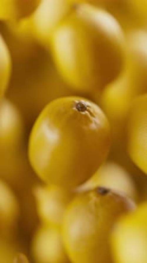 Animation of a group of lemons. Defocus. Close-up.