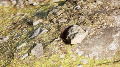 Nahaufnahme der Rocky Stones Formation
