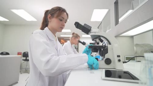 Women Working with Microscopes in Bright Research Lab