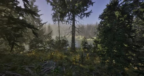 Misty Forest Landscape with Trees and a Serene Pond in Morning Light