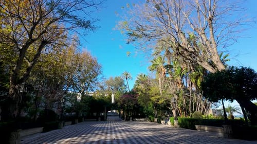 Ein breiter Weg, gesäumt von verschiedenen Bäumen und Palmen in einem ruhigen öffentlichen Park, mit klarem blauem Himmel,