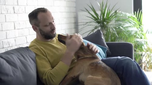 Man petting brown dog on couch in living room