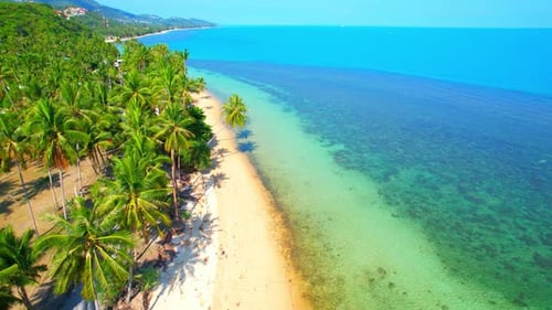 Beautiful tropical sea in summer