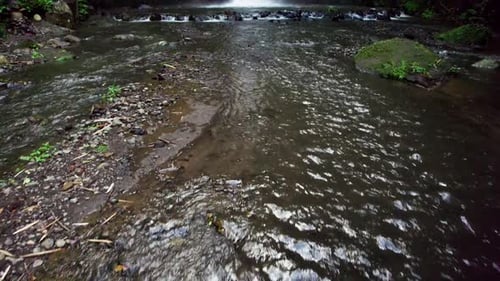 Waterfall Hidden in Tropical Rainforest Jungle