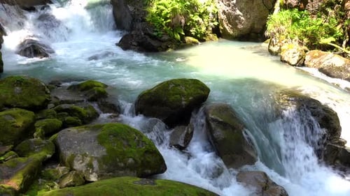 Beautiful rough mountain river flowing. Forest creek in wild nature. Sunshine reflected in the water