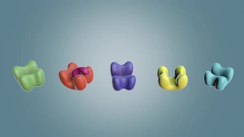 3D Animation of Protein Receptor and Ligand Binding