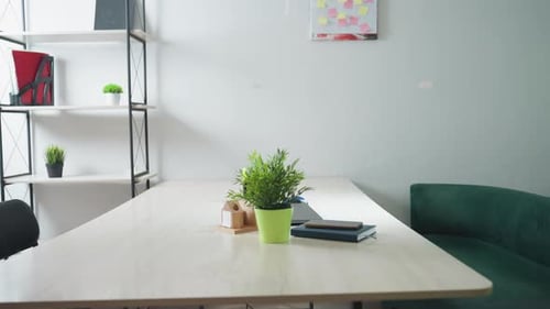 View of Modern Office Interior with Clean Desk Green Couch and Shelf Decor
