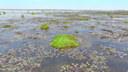 An aerial view of wetland.