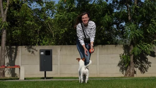 Woman Playing Fetch with Dog in Sunny Park