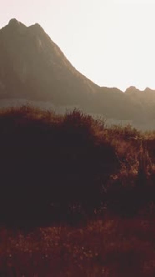 A Landscape with Mountains and Grass