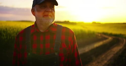 Senior Farmer Smiling in Golden Field at Sunrise