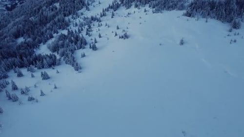 Winter Snowy Mountain Meadow on the Edge of the Forest Top View Shot From a Drone